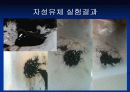 자성유체실험 9페이지