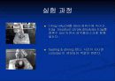 자성유체실험 14페이지