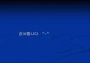 자성유체실험 17페이지