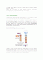 단백질구조와 특징 정제에 관한 정리 12페이지