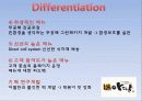 아딸 기업분석과 마케팅전략 PPT 13페이지