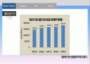 댕기머리샴푸 마케팅사례분석 파워포인트 5페이지