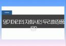 댕기머리샴푸 마케팅사례분석 파워포인트 10페이지