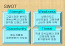 피자헛플러스 마케팅전략과 문제점분석 및 대안제시 13페이지