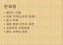 피자헛플러스 마케팅전략과 문제점분석 및 대안제시 15페이지