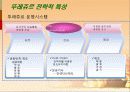뚜레쥬르vs파리바게트 비교분석(마케팅,4P,SWOT,해외진출전략)  31페이지