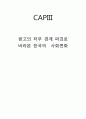 연구논문-광고의 터부 경계 파괴로 바라본 한국의  사회변화- 1페이지