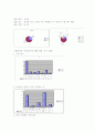 (A+레포트) 싸이월드(cyworld)의 마케팅, 성공사례, 마케팅전략, 성공전략, 경영전략분석, 개념 및 종류와 특징분석, 기능과 역기능, 마케팅 성공전략, 경영 성공전략, 광고성공 사례, SWOT분석, 포지셔닝 4C전략 총 15페이지