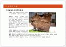 소파(SOFA)의 역사와 제조 그리고 품질기준에 대하여 19페이지