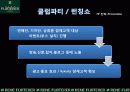 르네휘테르(Rene Furterer) 마케팅전략 32페이지