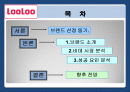 웅진 룰루(LooLoo)비데 마케팅 성공사례분석  2페이지