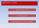종합편성채널(종편)이 여론형성에 미치는영향분석 (여론독과점VS다양성확보) 5페이지