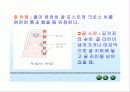 핸드볼이론수업자료-파워포인트 19페이지