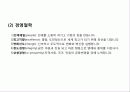 DAISO다이소 경영사례분및 마케팅전략분석 4페이지