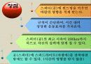 스피드민턴  14페이지