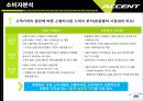 현대자동차 Accent  엑센트 마케팅전략분석 6페이지