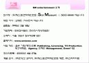SM엔터테인먼트 중국시장진출 마케팅전략분석 4페이지