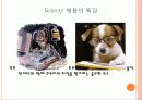 google(구글) 인사관리(HRM)사례분석 14페이지