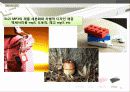 닌텐도(Nintendo)DS 마케팅전략분석 및 새로운 전략제안 (소니PSP와 비교분석) 52페이지