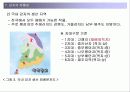 감자 품질론 24페이지