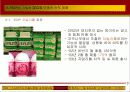 식물 신소재의 산업적 활용 사례 19페이지