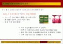 식물 신소재의 산업적 활용 사례 31페이지