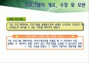 [노인복지프로그램 개발기획서] 고령화시대 독거노인 복지 프로그램 27페이지