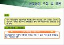 [노인복지프로그램 개발기획서] 고령화시대 독거노인 복지 프로그램 39페이지