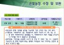 [노인복지프로그램 개발기획서] 고령화시대 독거노인 복지 프로그램 41페이지