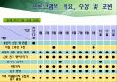 [노인복지프로그램 개발기획서] 고령화시대 독거노인 복지 프로그램 43페이지
