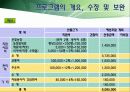 [노인복지프로그램 개발기획서] 고령화시대 독거노인 복지 프로그램 45페이지