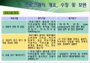 [노인복지프로그램 개발기획서] 고령화시대 독거노인 복지 프로그램 46페이지