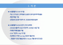 SK텔레콤의 차세대 마케팅 시스템 개발사례 연구 2페이지