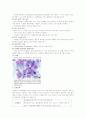 아동,성인 ALL 문헌고찰 A+ (정의, 병태생리,원인,치료,간호등 전체다 포함 )  4페이지