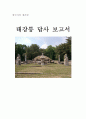 답사 보고서) 태강릉 1페이지