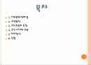 고딕(gothic)시대의복식(13~15c) 2페이지