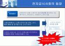 전자정부의 역기능들 17페이지