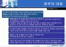전자정부의 역기능들 24페이지