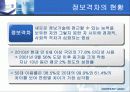 전자정부의 역기능들 27페이지