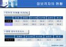 전자정부의 역기능들 28페이지