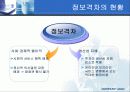 전자정부의 역기능들 30페이지