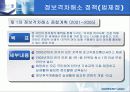전자정부의 역기능들 33페이지