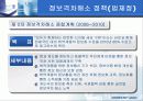 전자정부의 역기능들 34페이지