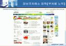 전자정부의 역기능들 38페이지