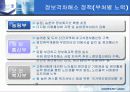 전자정부의 역기능들 39페이지
