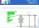 전자정부의 역기능들 45페이지