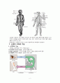 신경계의 구조와 기능 2페이지