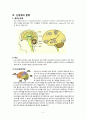 신경계의 구조와 기능 5페이지