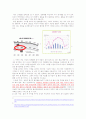 인간행동과 사회환경 - 여성의 경제활동과 출산율의 관계 2페이지
