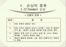 [간호학]Sports Injury 19페이지